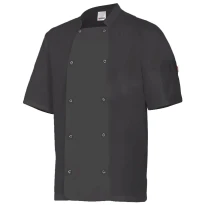 Chaqueta coreana de chef de trabajo de manga corta Velilla 405205