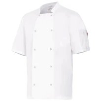 Chaqueta coreana de chef de trabajo de manga corta Velilla 405205