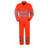 Mono de trabajo Alta Visibilidad Multibolsillos Rossini Hi-Vis A40117