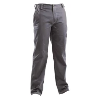 Pantalón de trabajo Multibolsillos P&P Loyal BGL02 110 2