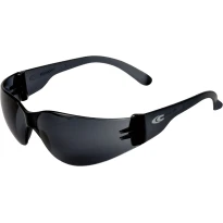 Gafas de trabajo Cofra Roundifit E005-B111