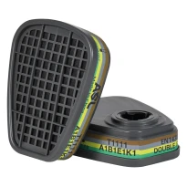 1 Par – Filtro de Trabajo Antipolvo Cofra T1111 M506-B107