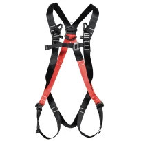 Arnés 1 Punto Cofra Cerbero A000-1101