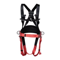 Arnés 1 Punto Cofra Magnair A004-1104