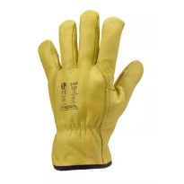 12 Pares - Guantes de Trabajo Coverguard de Piel Eurowinter MO2465 Antifrío