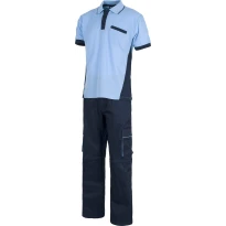 Conjunto de trabajo workteam